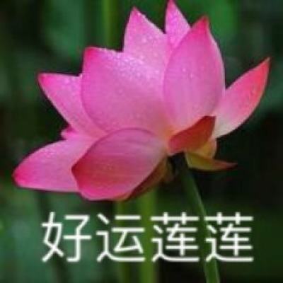 新华社权威快报｜早期现代人——柳江人化石研究新突破